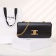 Celine cow leather chain underarm bag