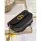 DIOR 30 Montaigne Avenue leather handbag tri-color