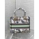 DIOR Medium Lady D-Lite Handbag