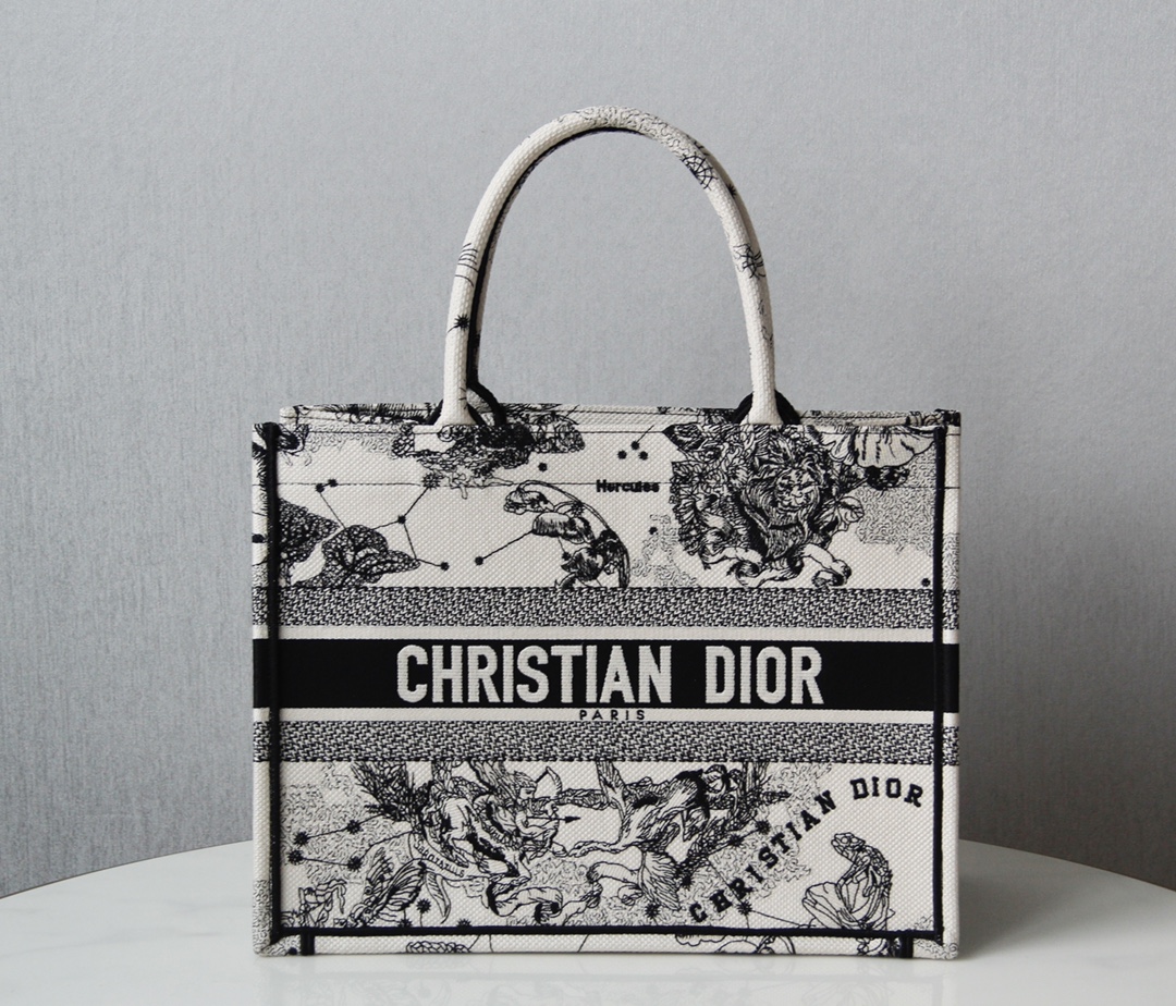 DIOR  Medium Book Tote Handbag