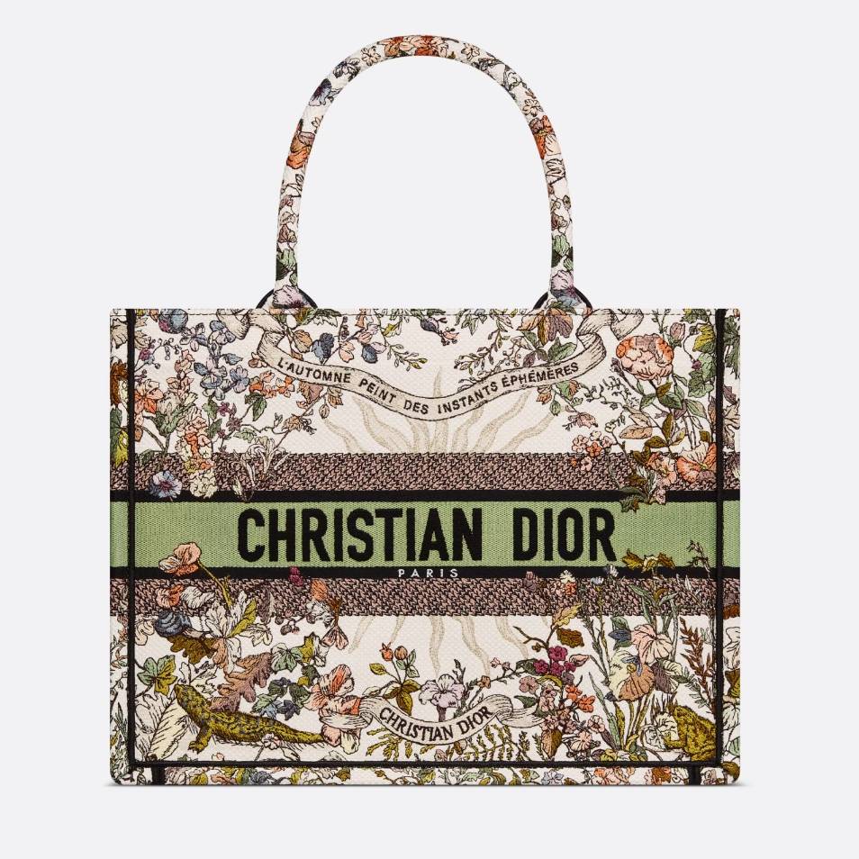 DIOR  Medium Book Tote Handbag