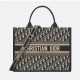 DIOR  Medium Book Tote Handbag