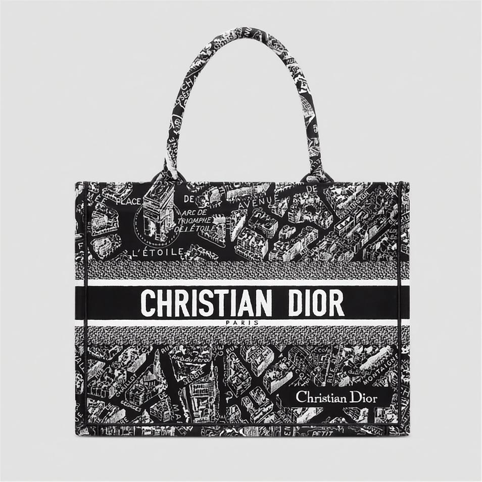 DIOR Medium Book Tote Handbag