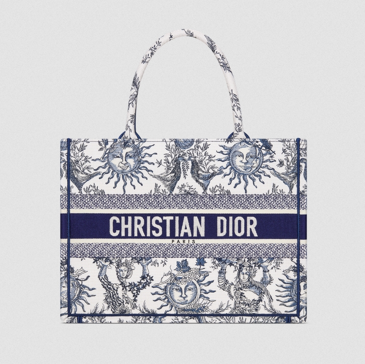 DIOR  Medium Book Tote Handbag