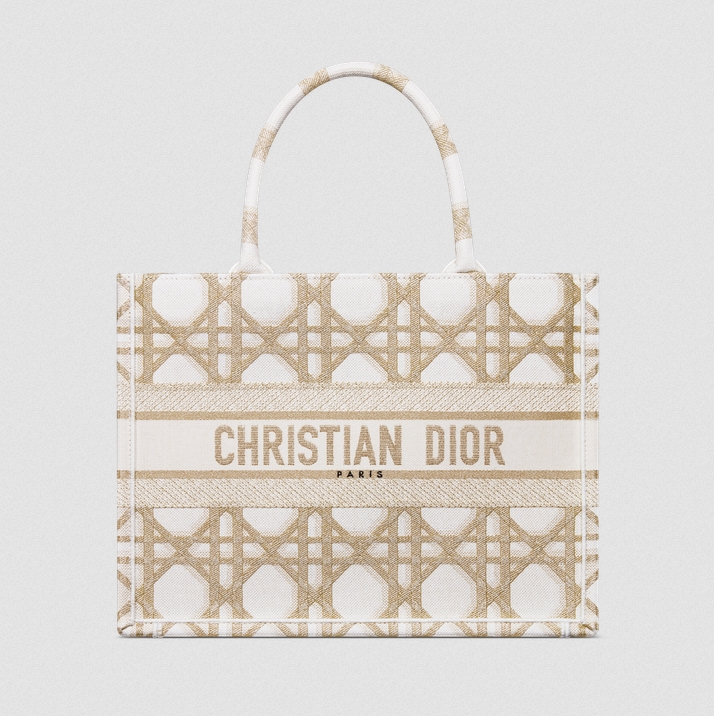 DIOR Medium Book Tote Handbag