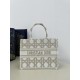 DIOR Medium Book Tote Handbag