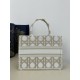 DIOR Medium Book Tote Handbag