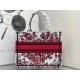 DIOR Medium Book Tote Handbag