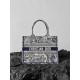 DIOR Medium Book Tote Handbag