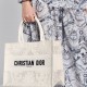 DIOR Medium Book Tote Handbag