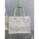 DIOR Medium Book Tote Handbag