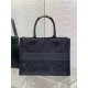 DIOR Medium Book Tote Handbag