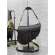 Dior Saddle Bag with Strap