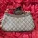 Gucci ophidia series small handbag