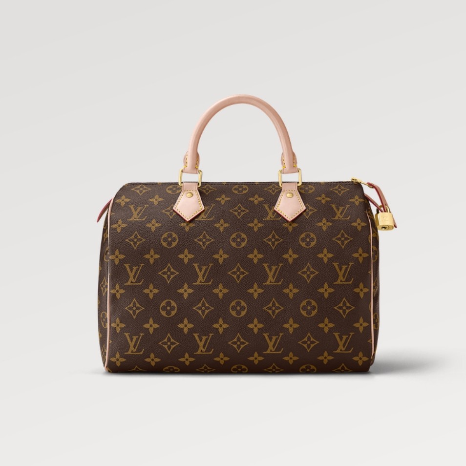 Louis Vuitton SPEEDY 30 Handbag