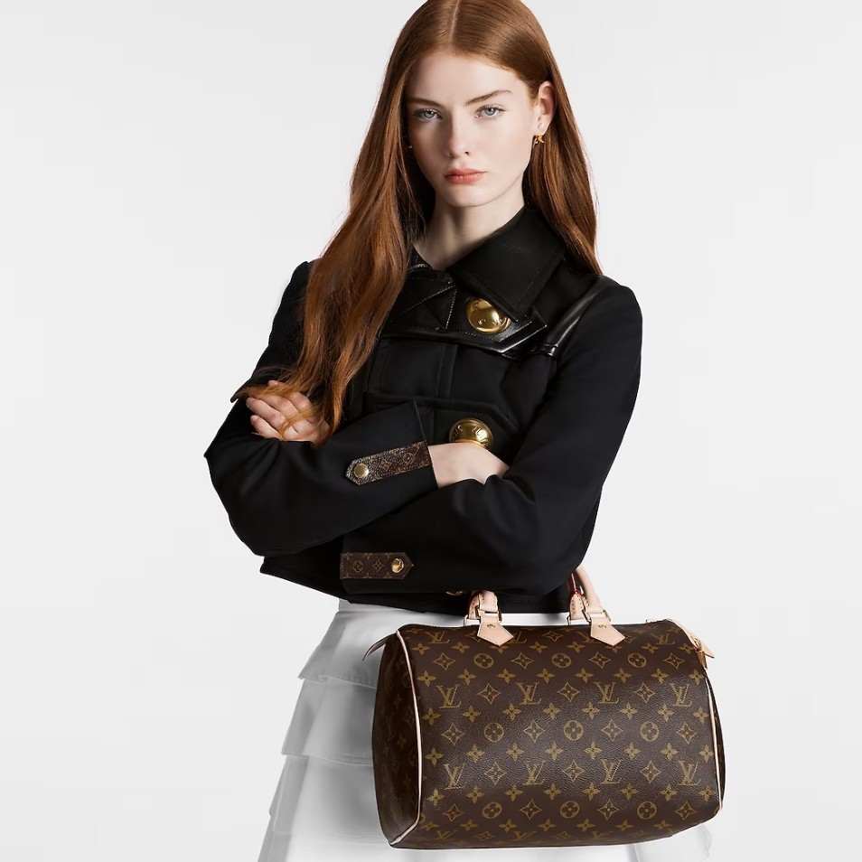 Louis Vuitton SPEEDY 30 Handbag