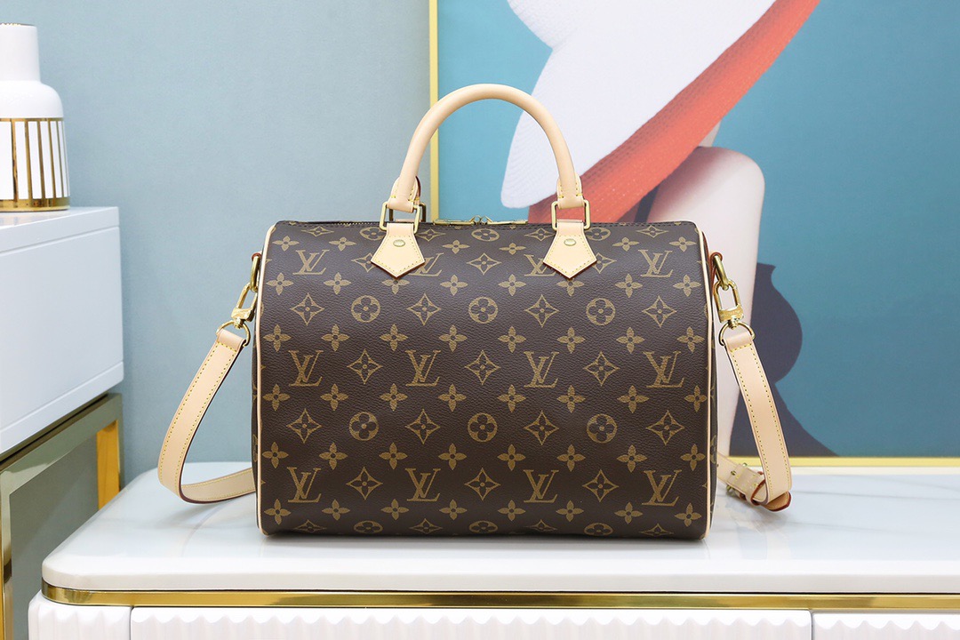 Louis Vuitton SPEEDY 30 Handbag