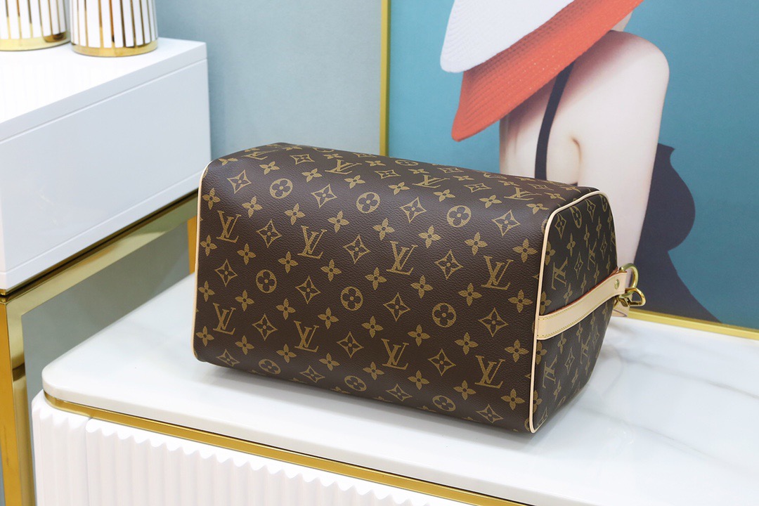 Louis Vuitton SPEEDY 30 Handbag