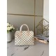 Louis Vuitton SPEEDY BANDOULIERE 25 Handbag