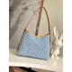 Louis Vuitton CARRYALL PM Handbag