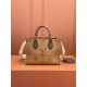 Louis Vuitton ONTHEGO PM Handbag