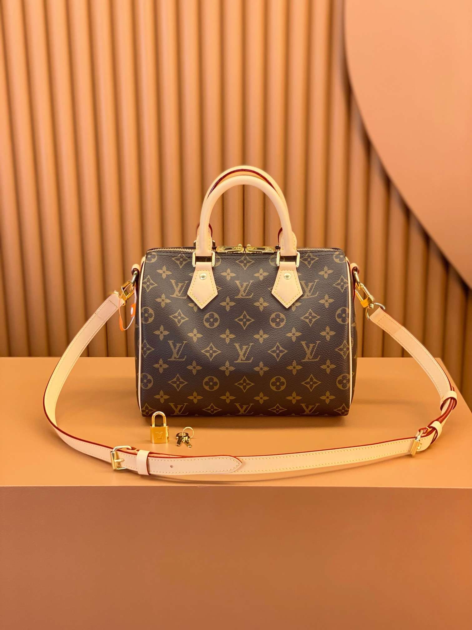 Louis Vuitton SPEEDY BANDOULIERE 25 handbag