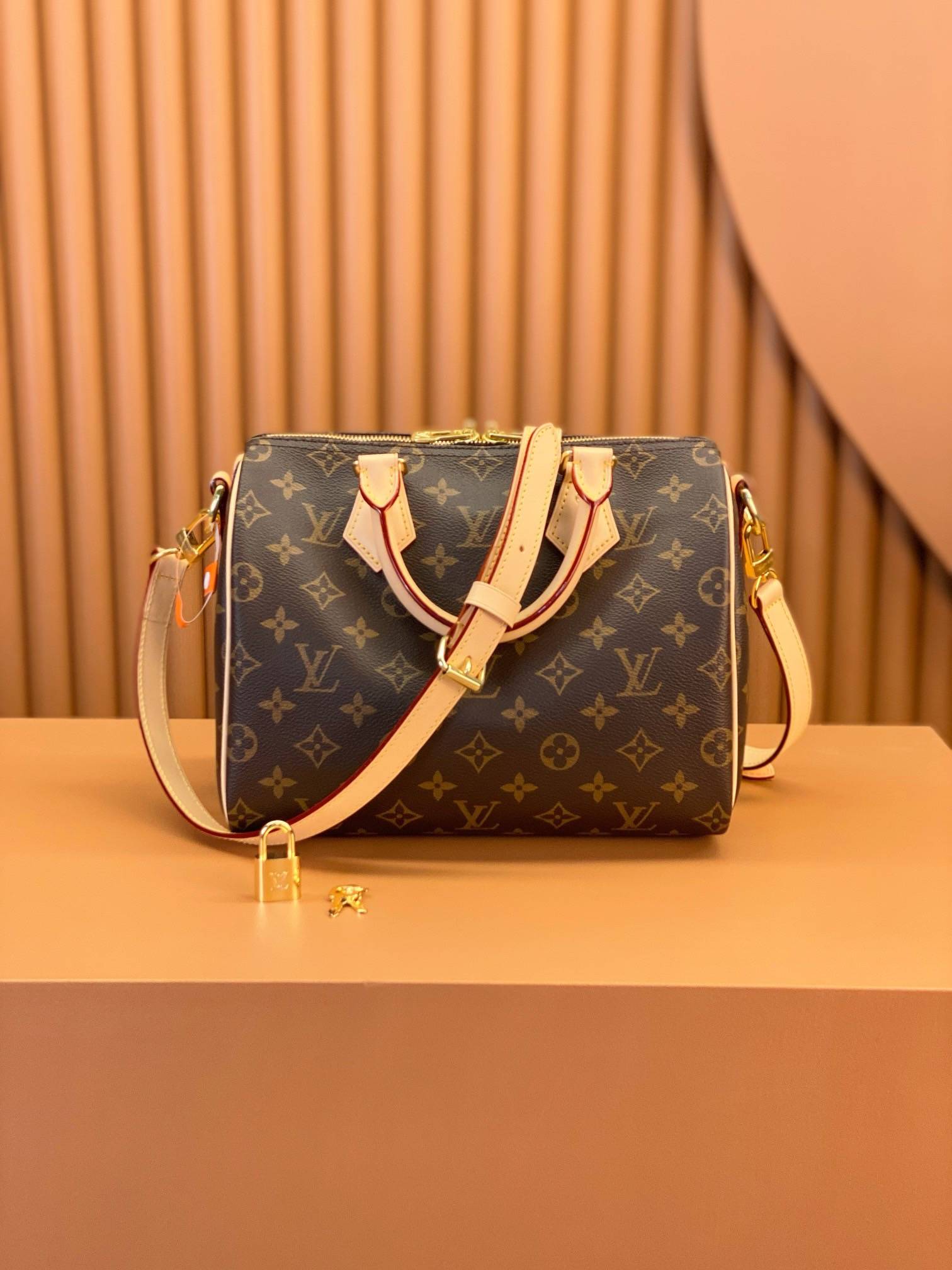 Louis Vuitton SPEEDY BANDOULIERE 25 handbag