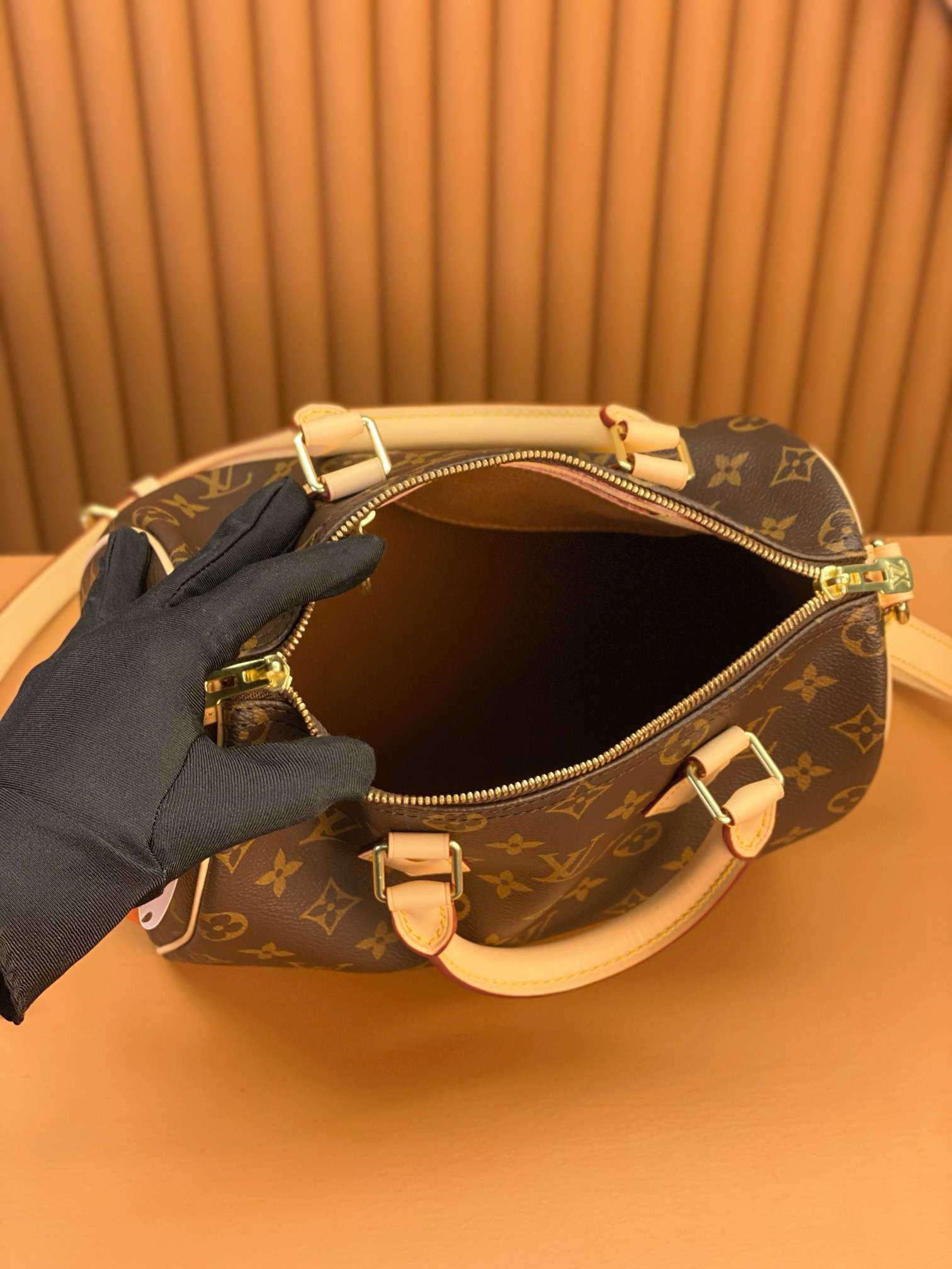 Louis Vuitton SPEEDY BANDOULIERE 25 handbag