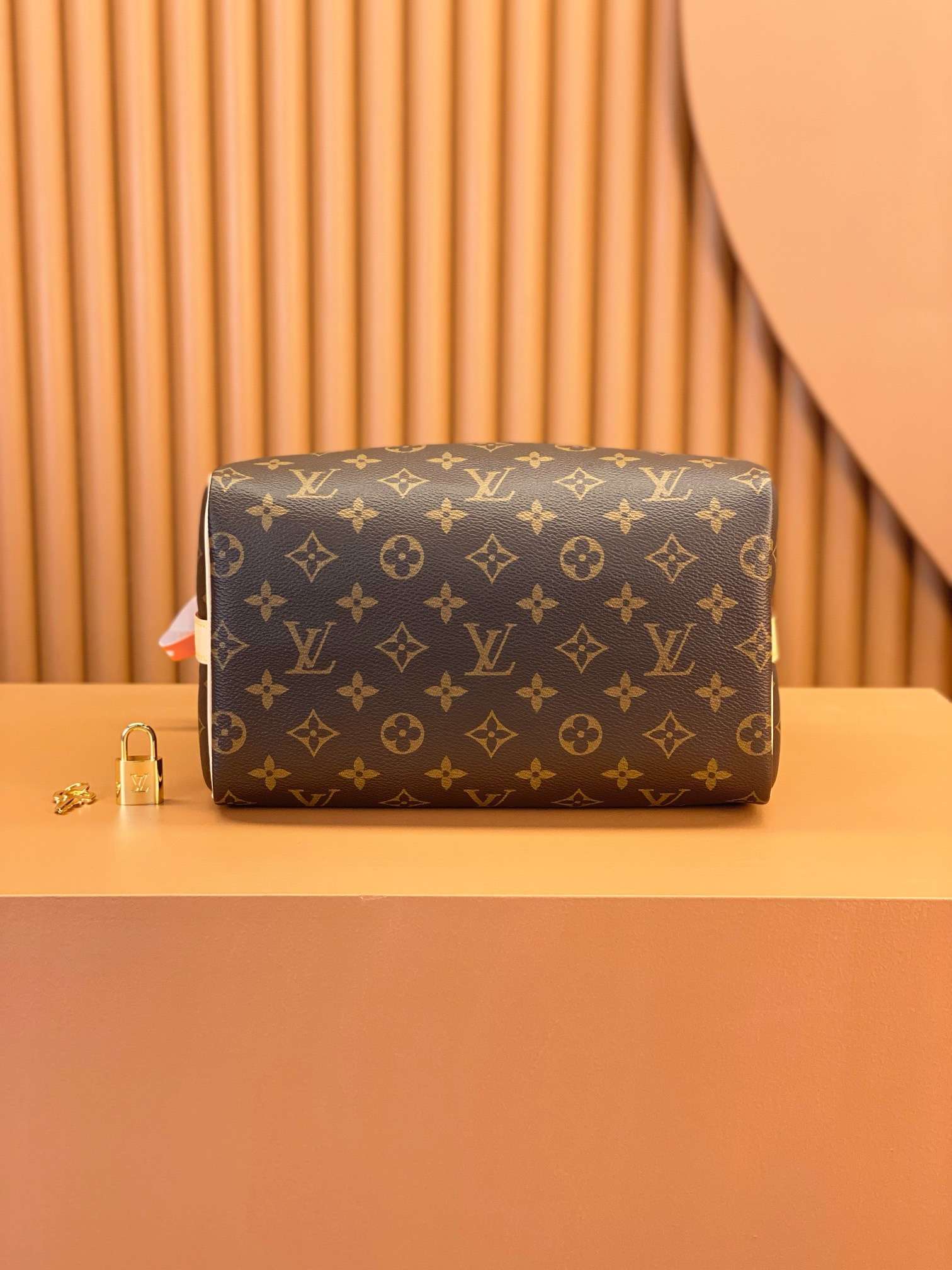 Louis Vuitton SPEEDY BANDOULIERE 25 handbag