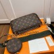 Louis Vuitton Multi Pochette Accessoires M44813