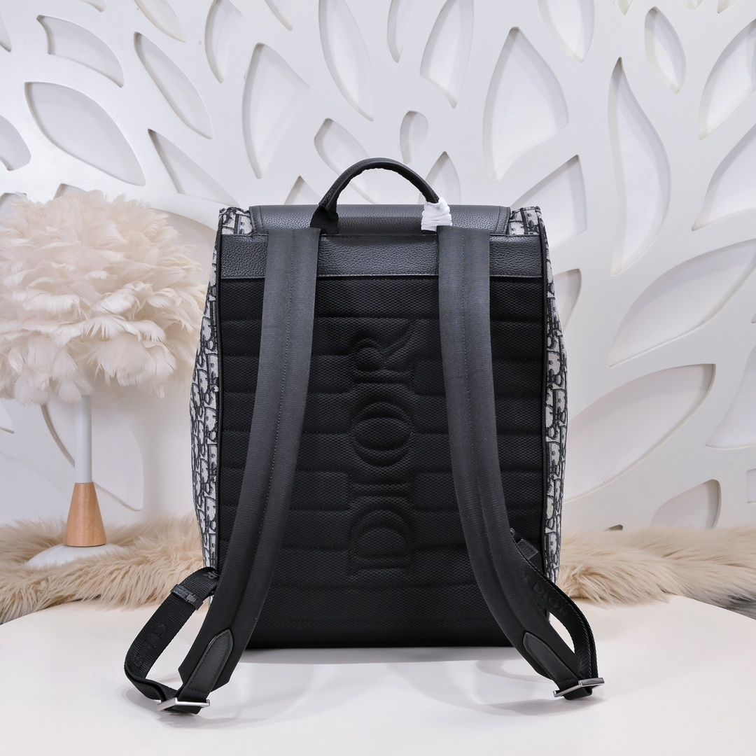 DIOR saddle backpack