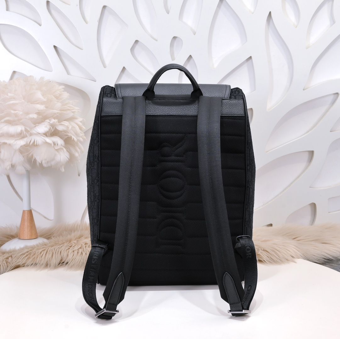 DIOR saddle backpack