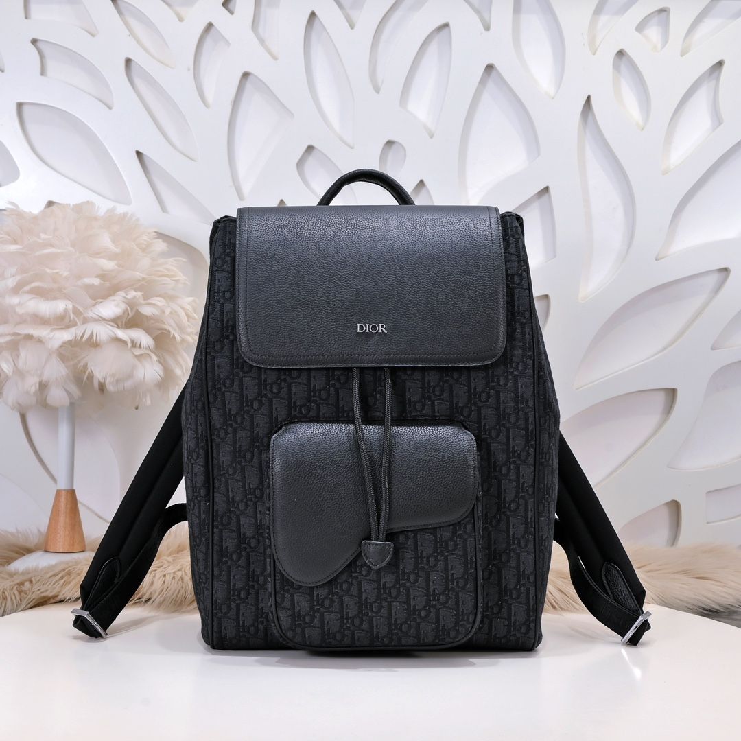 DIOR saddle backpack